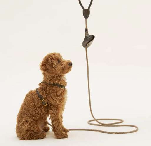Leash