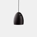 Oak Pendant